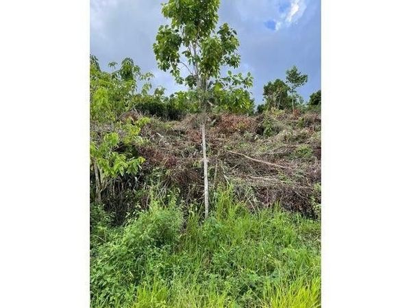 0000 139 Court, Dunnellon, FL 34432