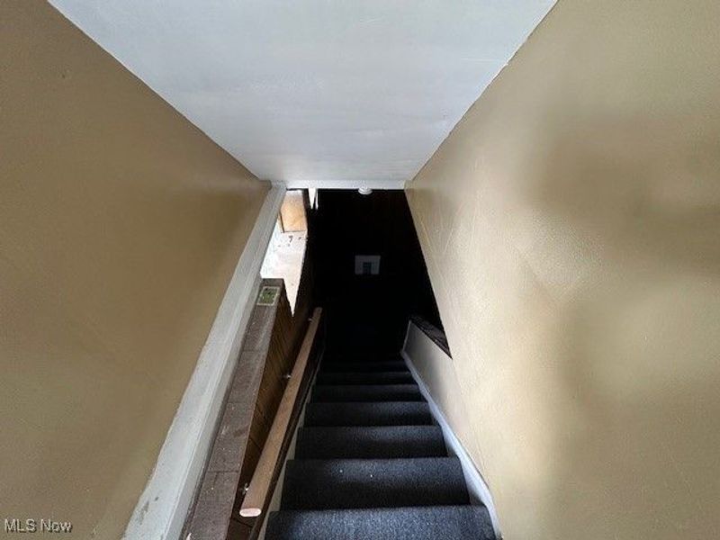 1183 Argonne Road, Cleveland, OH 44121 Photo 11