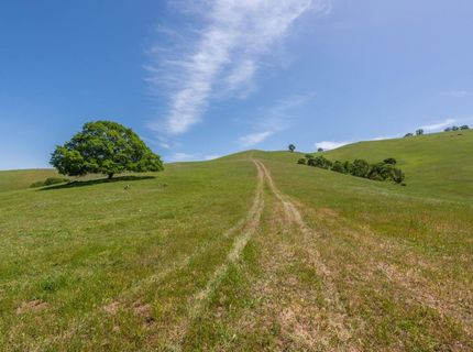 9840 New Chicago Rd, Drytown, CA 95699 Photo