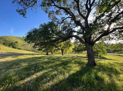 9840 New Chicago Rd, Drytown, CA 95699 Photo