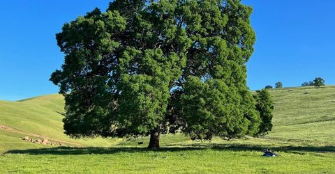 9840 New Chicago Rd, Drytown, CA 95699 Photo