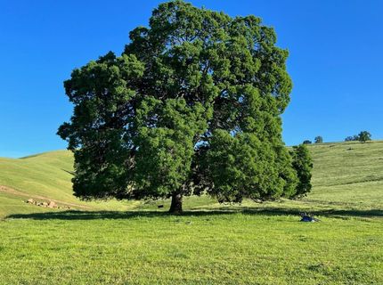 9840 New Chicago Rd, Drytown, CA 95699 Photo