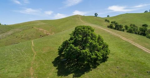 9840 New Chicago Rd, Drytown, CA 95699 Photo