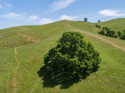 9840 New Chicago Rd, Drytown, CA 95699 Photo