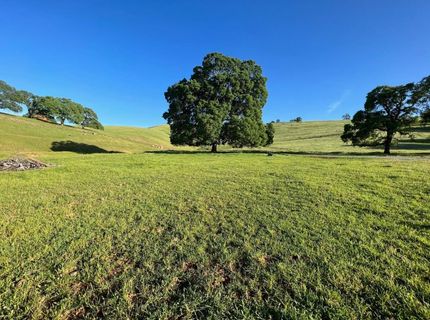 9840 New Chicago Rd, Drytown, CA 95699 Photo