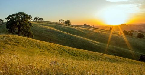 9840 New Chicago Rd, Drytown, CA 95699 Photo