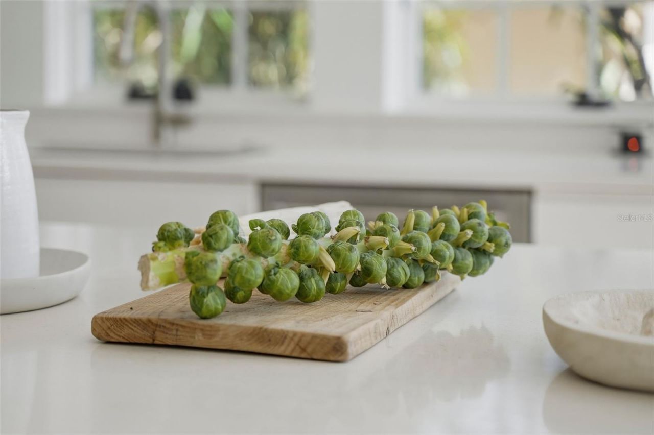 246 NE 19th Ave Ne, Saint Petersburg, FL 33704 Photo