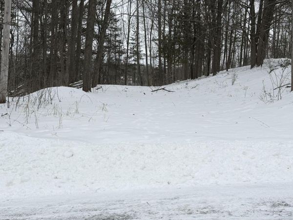 313 W Spruce Street E, Big Rapids, MI 49307