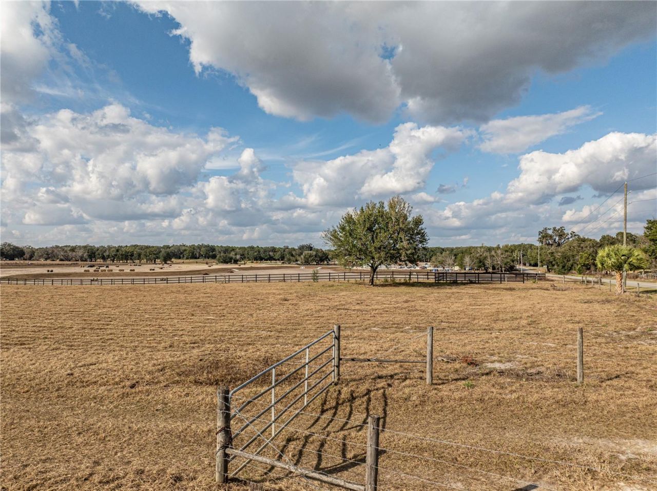 County Road 101, Oxford, FL 34484 Photo