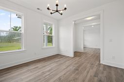 307 Papa Charlie Way photo 4