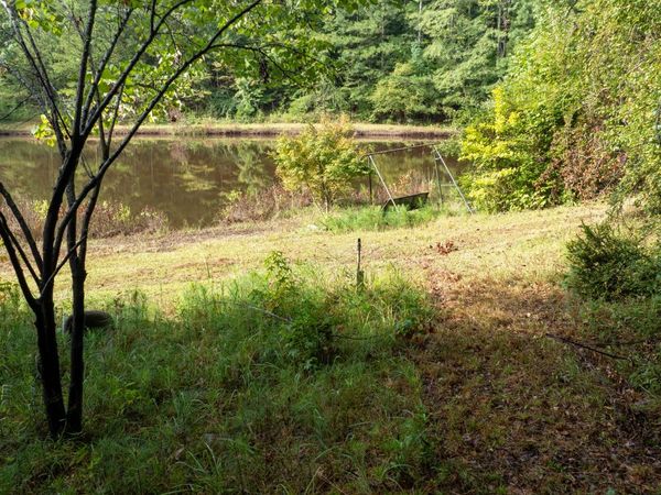 58.99 ACRES Bear Creek Road, Moreland, GA 30259