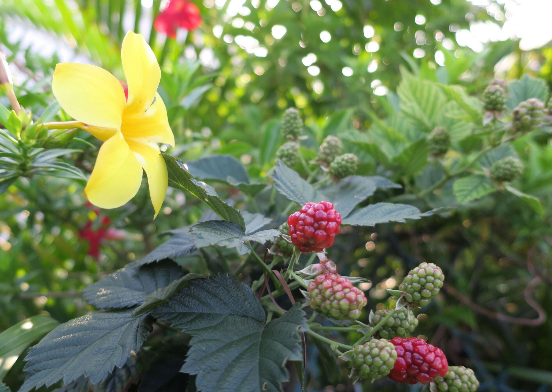 51010 Galina Bay, Boynton Beach, FL 33436 Photo