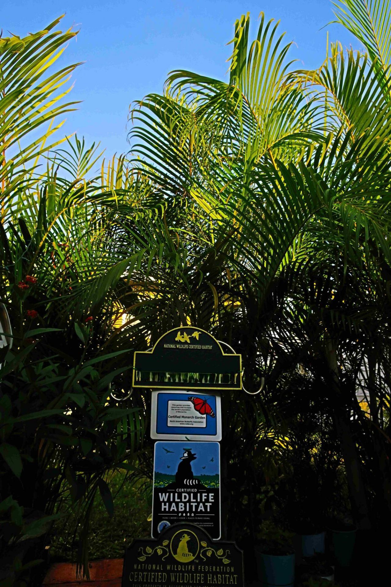 51010 Galina Bay, Boynton Beach, FL 33436 Photo