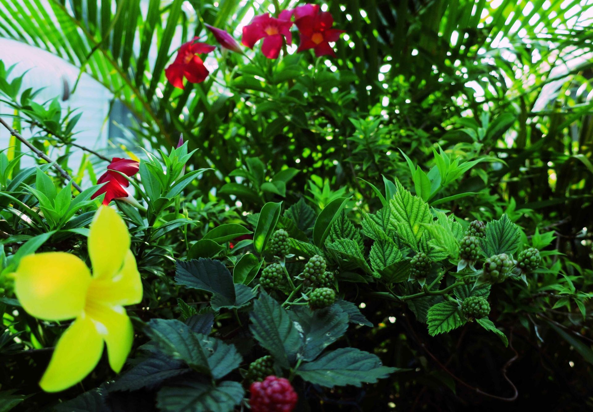 51010 Galina Bay, Boynton Beach, FL 33436 Photo