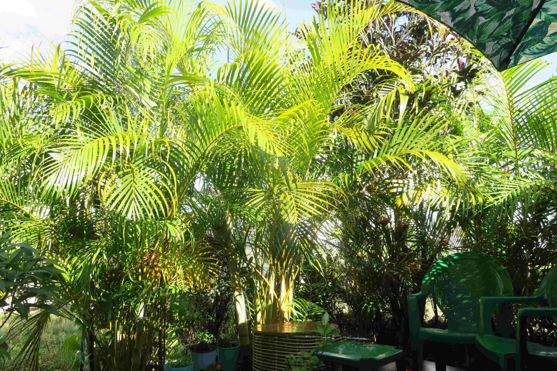 51010 Galina Bay, Boynton Beach, FL 33436 Photo