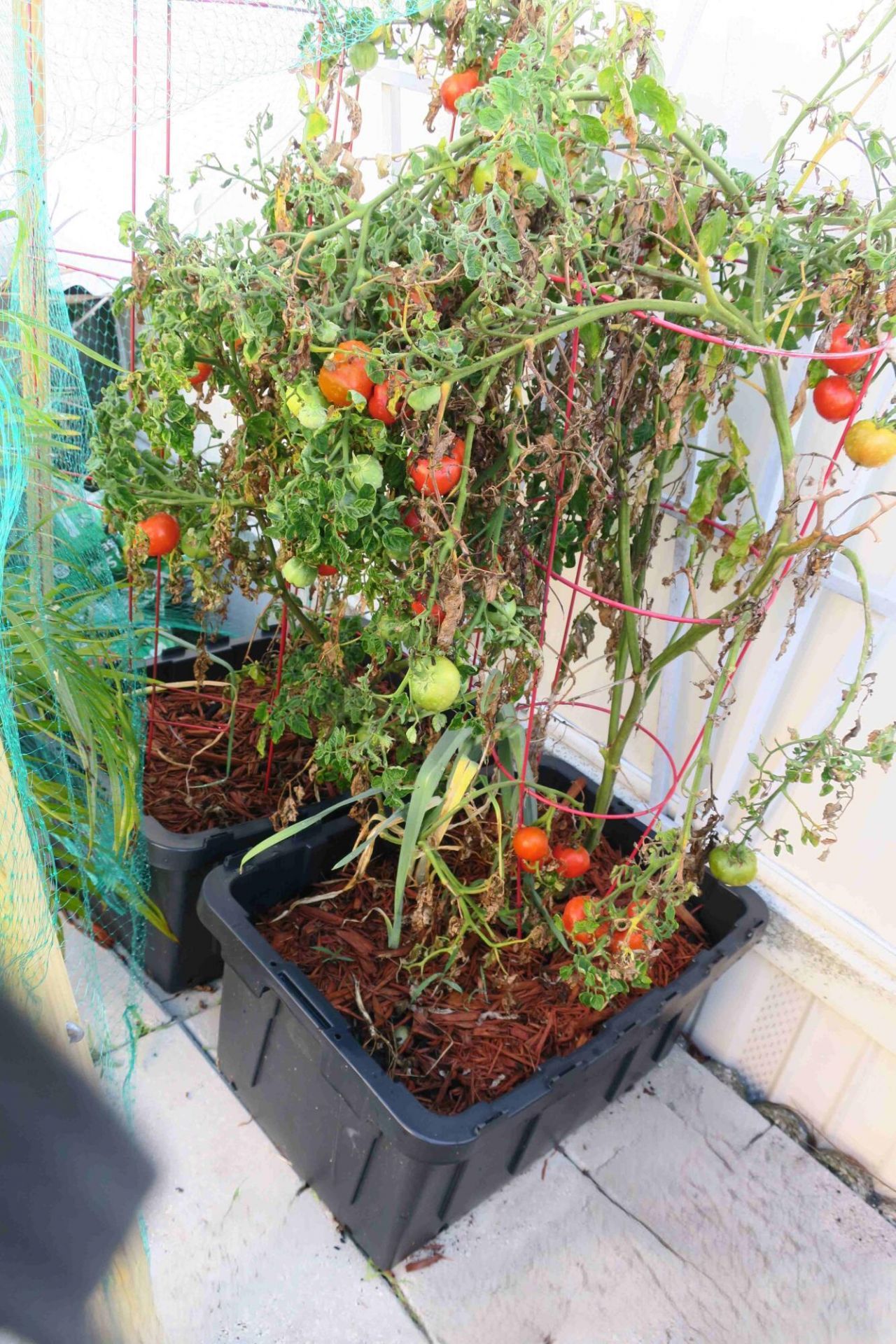 51010 Galina Bay, Boynton Beach, FL 33436 Photo