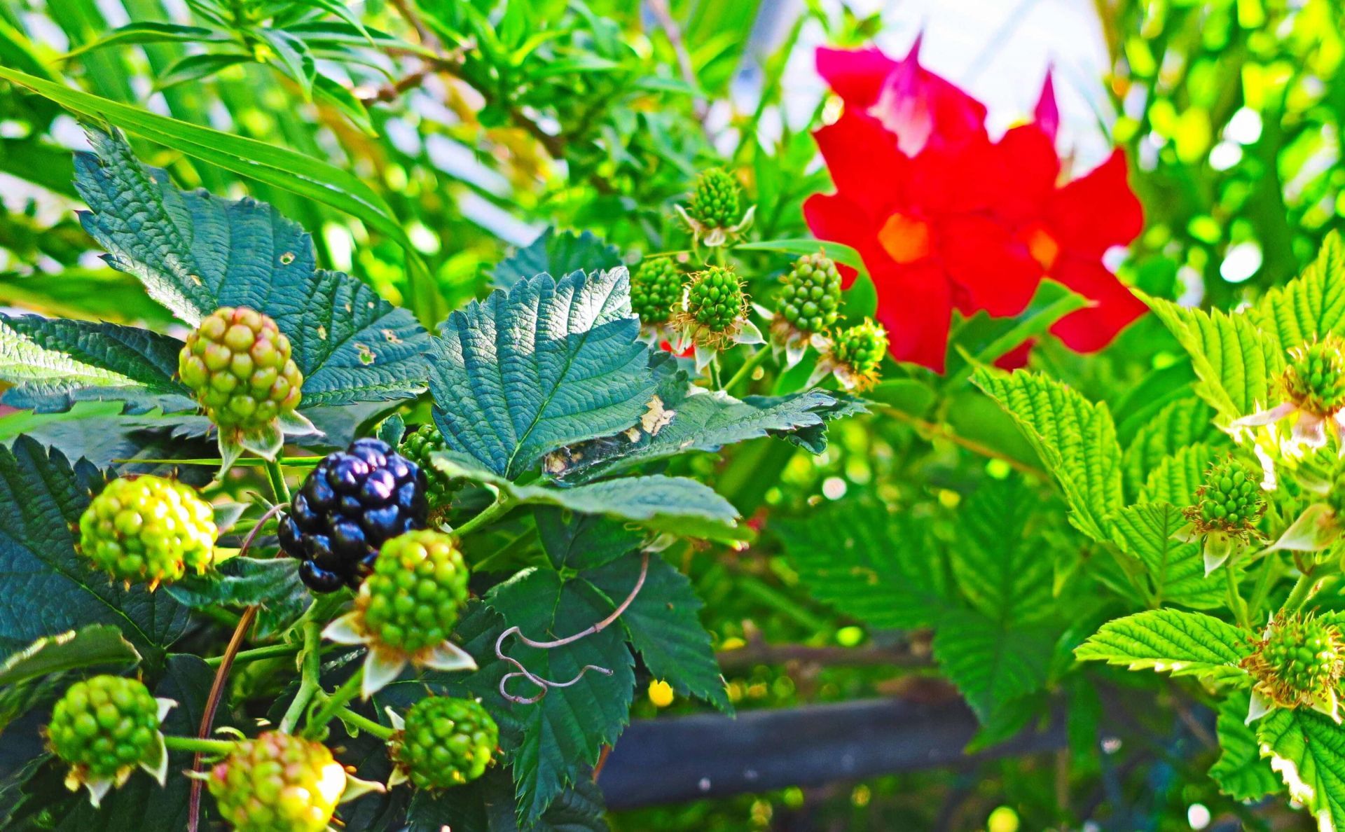 51010 Galina Bay, Boynton Beach, FL 33436 Photo