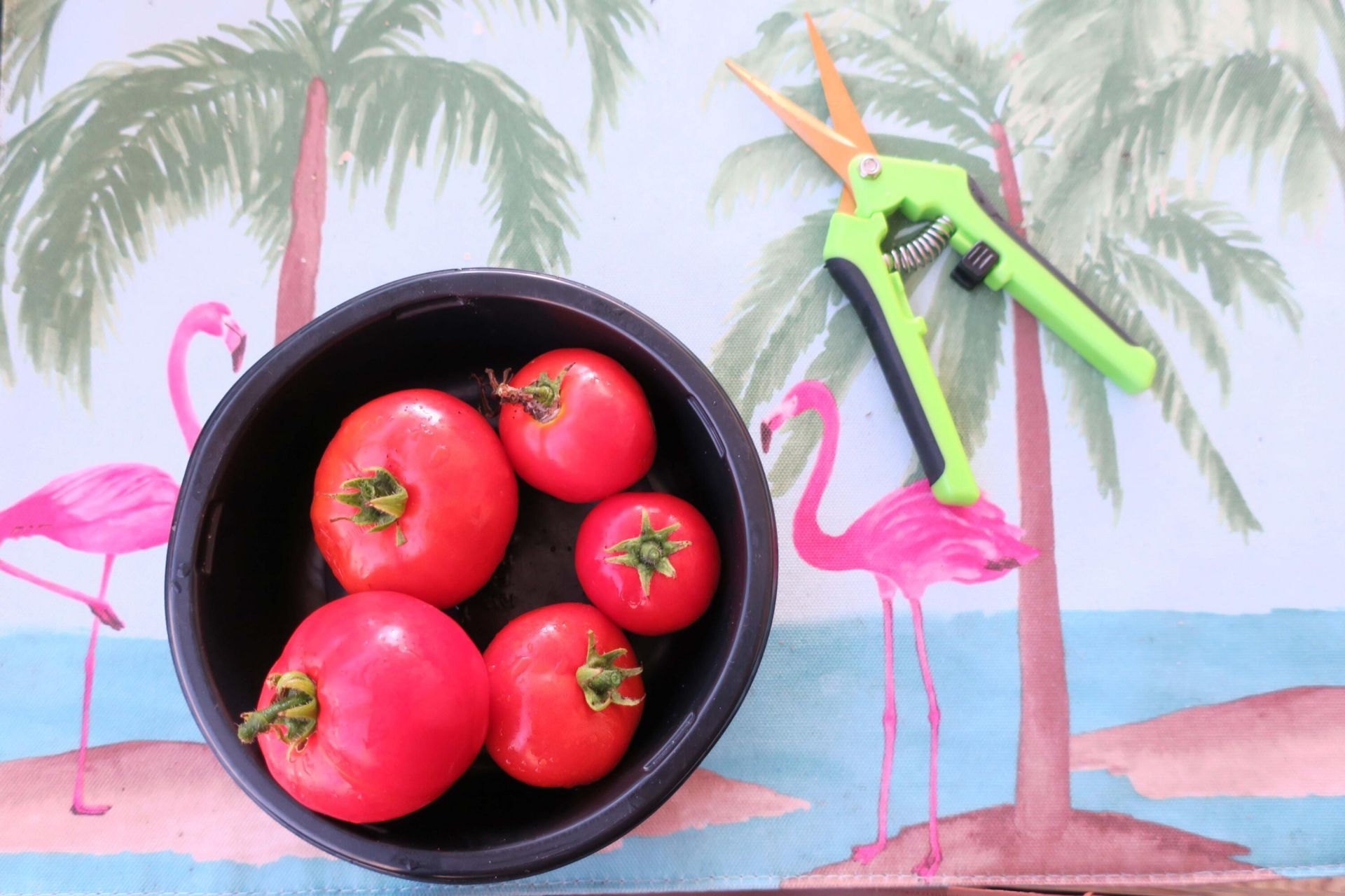 51010 Galina Bay, Boynton Beach, FL 33436 Photo