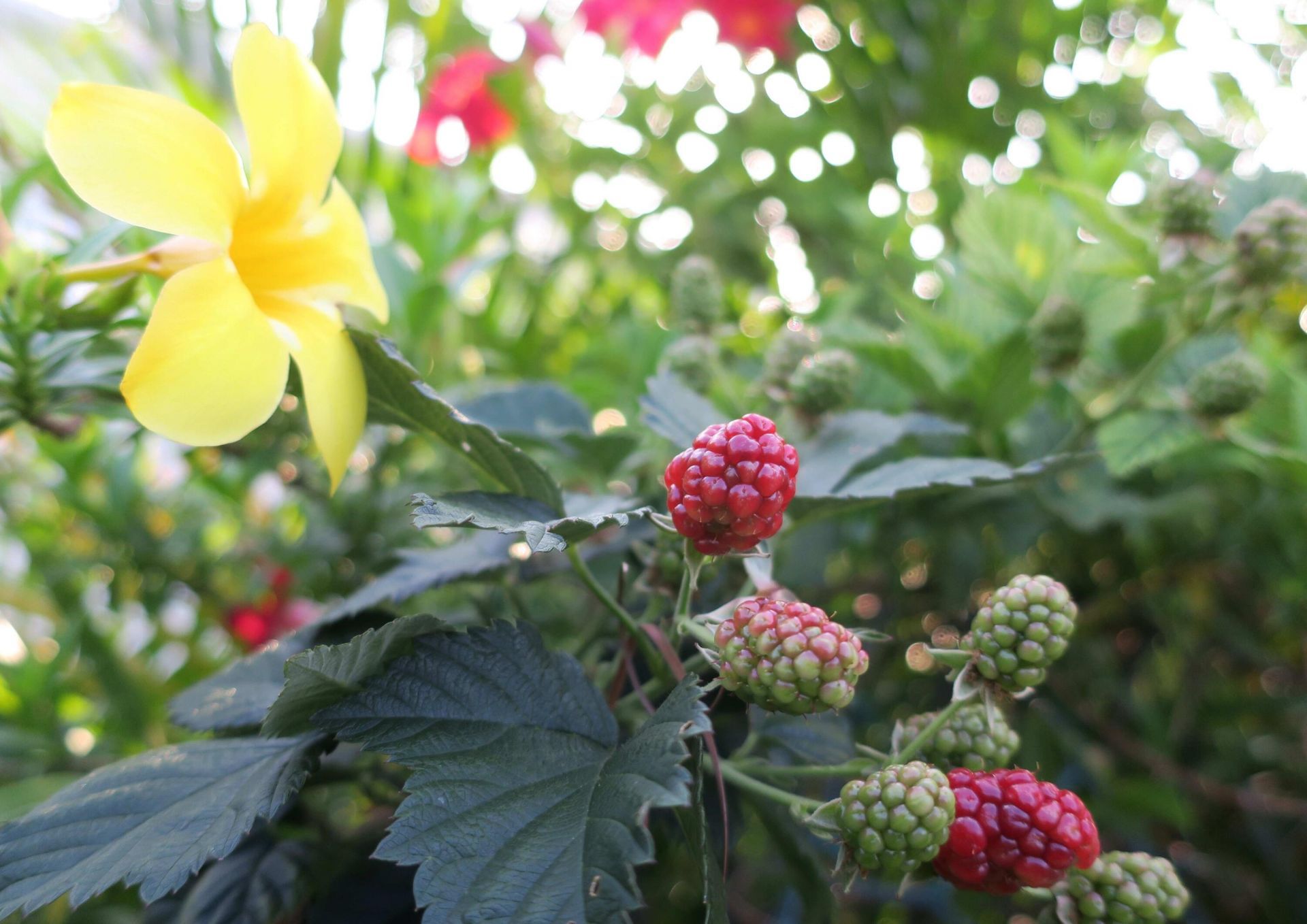 51010 Galina Bay, Boynton Beach, FL 33436 Photo