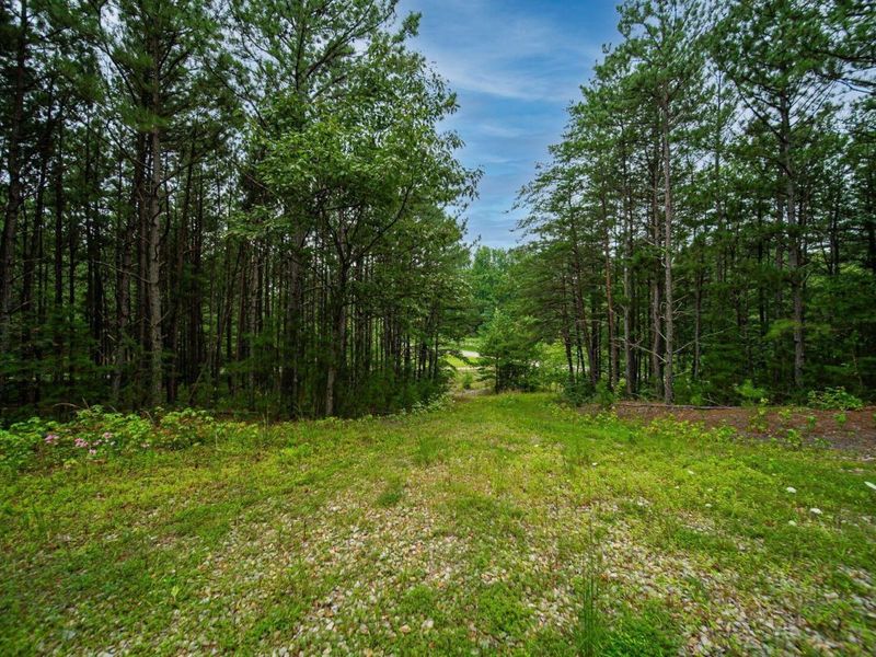 9758 Wesley Chapel Road, Mount Perry, OH 43760 Photo 13