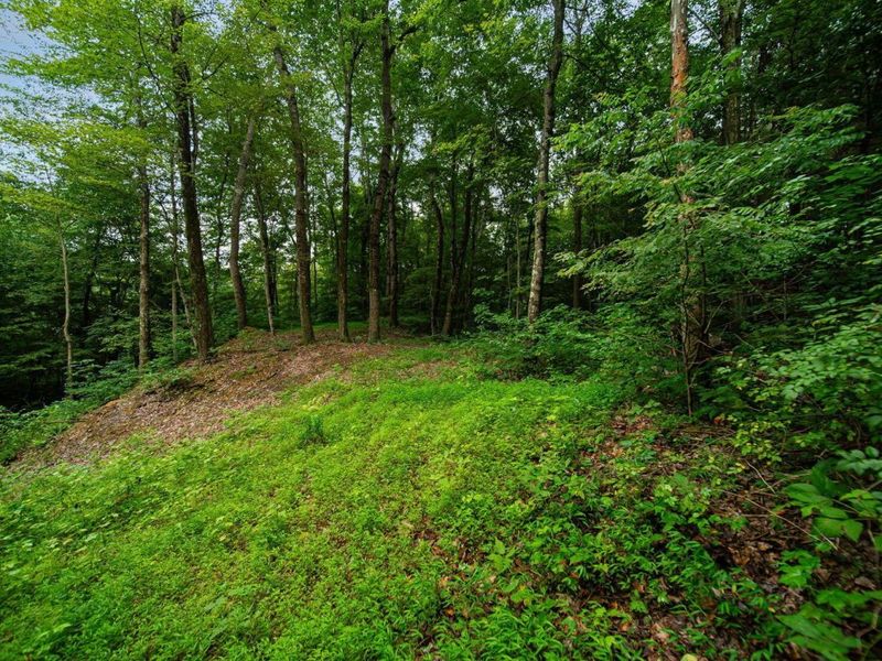 9758 Wesley Chapel Road, Mount Perry, OH 43760 Photo 14