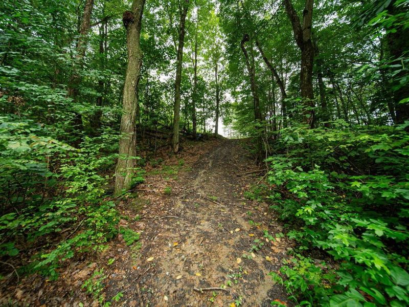 9758 Wesley Chapel Road, Mount Perry, OH 43760 Photo 15