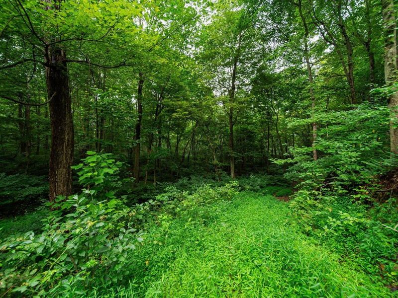 9758 Wesley Chapel Road, Mount Perry, OH 43760 Photo 16