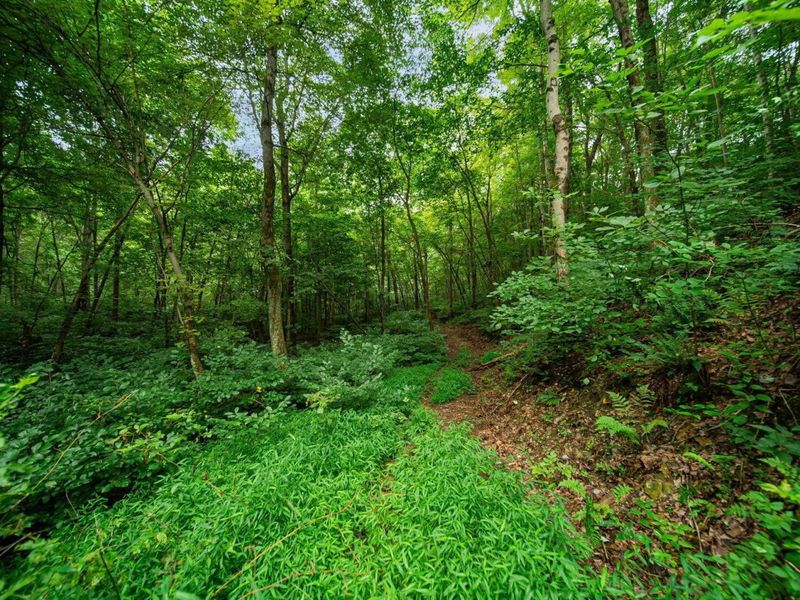 9758 Wesley Chapel Road, Mount Perry, OH 43760 Photo 17