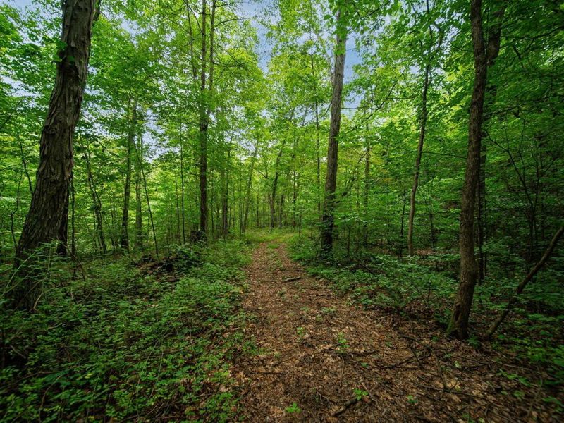 9758 Wesley Chapel Road, Mount Perry, OH 43760 Photo 21