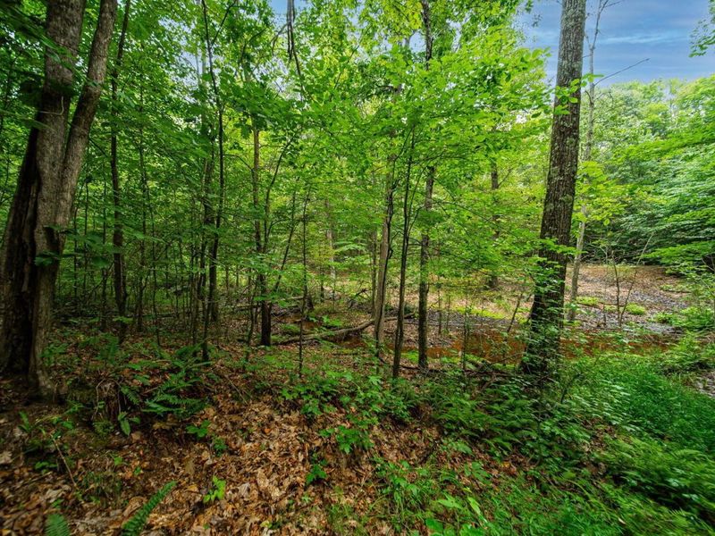 9758 Wesley Chapel Road, Mount Perry, OH 43760 Photo 22