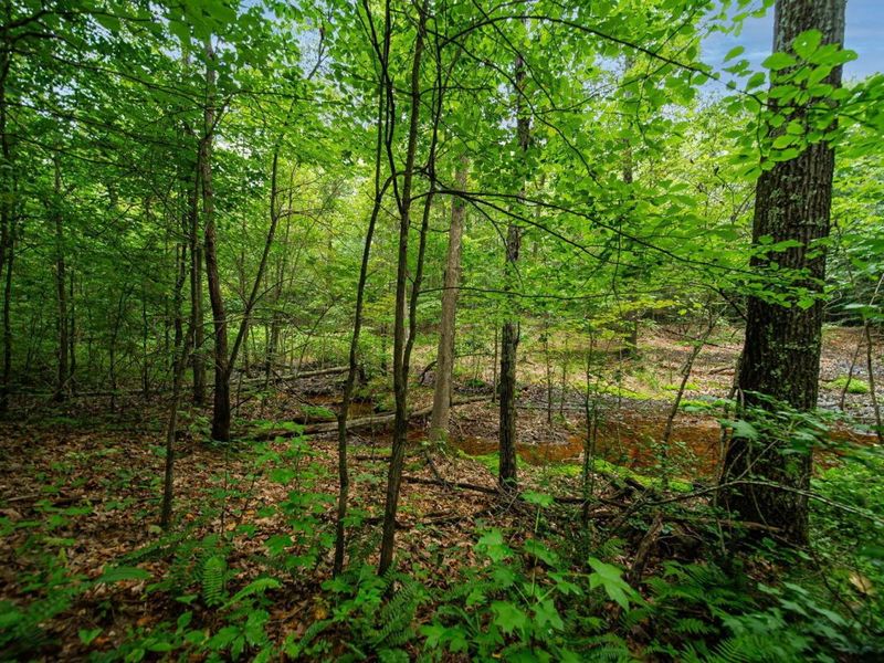 9758 Wesley Chapel Road, Mount Perry, OH 43760 Photo 23