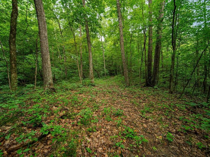 9758 Wesley Chapel Road, Mount Perry, OH 43760 Photo 24