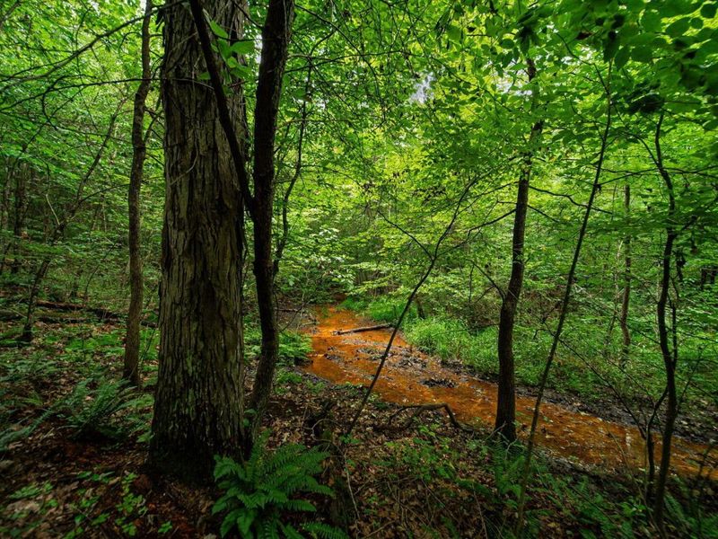 9758 Wesley Chapel Road, Mount Perry, OH 43760 Photo 25