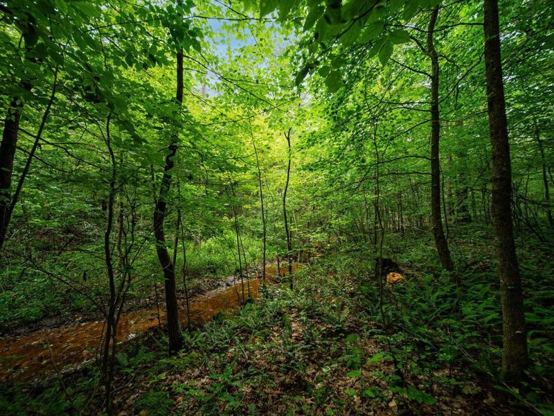 9758 Wesley Chapel Road, Mount Perry, OH 43760 Photo 26