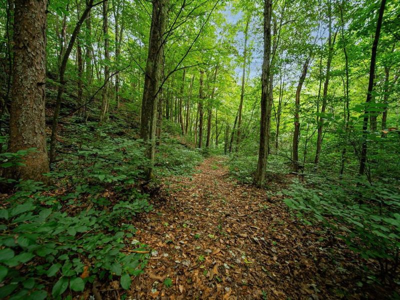 9758 Wesley Chapel Road, Mount Perry, OH 43760 Photo 27