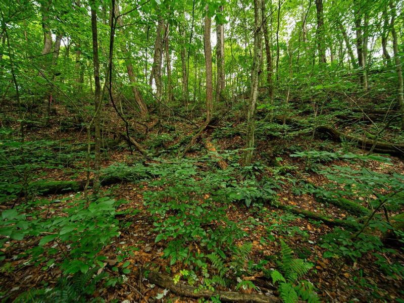 9758 Wesley Chapel Road, Mount Perry, OH 43760 Photo 28