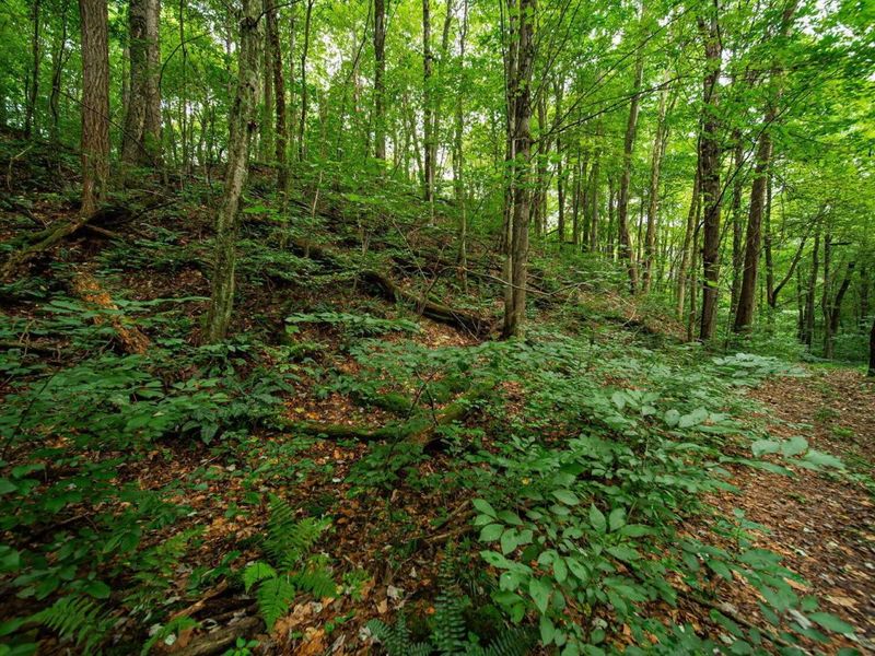 9758 Wesley Chapel Road, Mount Perry, OH 43760 Photo 29