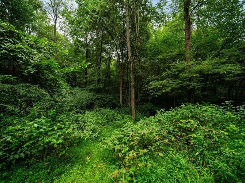 9758 Wesley Chapel Road, Mount Perry, OH 43760 Photo 30