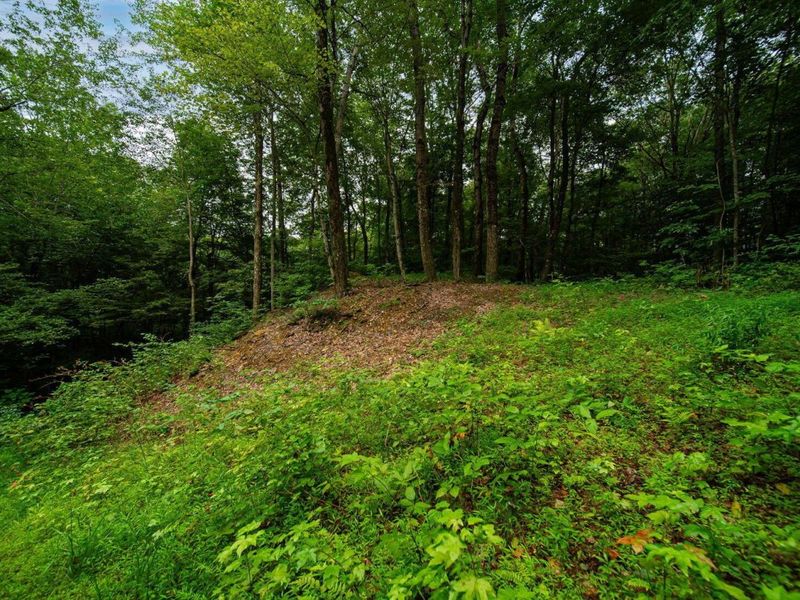 9758 Wesley Chapel Road, Mount Perry, OH 43760 Photo 31