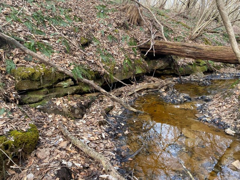 9758 Wesley Chapel Road, Mount Perry, OH 43760 Photo 33