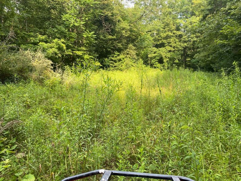 9758 Wesley Chapel Road, Mount Perry, OH 43760 Photo 35