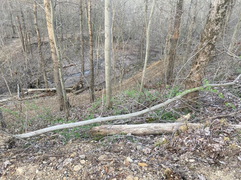 9758 Wesley Chapel Road, Mount Perry, OH 43760 Photo 37