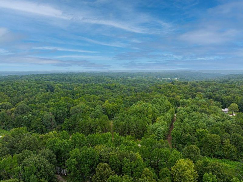 9758 Wesley Chapel Road, Mount Perry, OH 43760 Photo 39