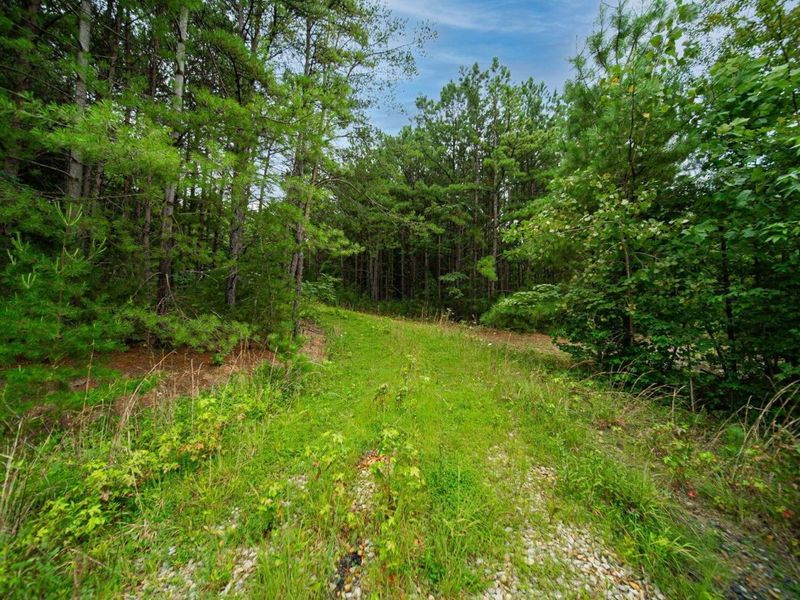 9758 Wesley Chapel Road, Mount Perry, OH 43760 Photo 5