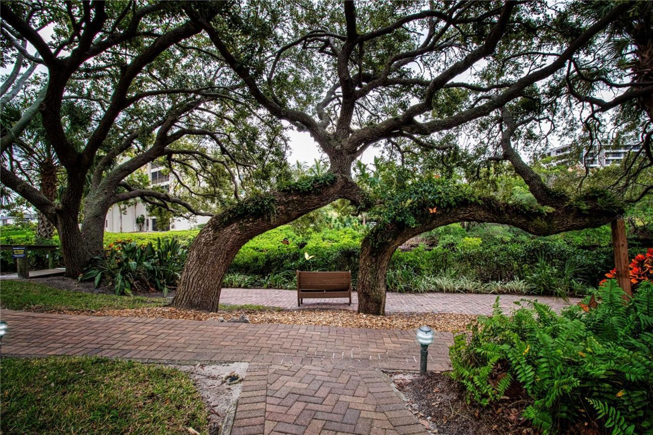 1500 Cove II Place, Unit 524, Sarasota, FL 34242 Photo