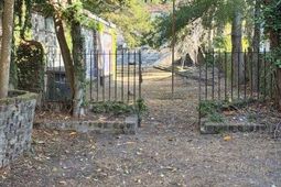 34 Pitt Street photo 4