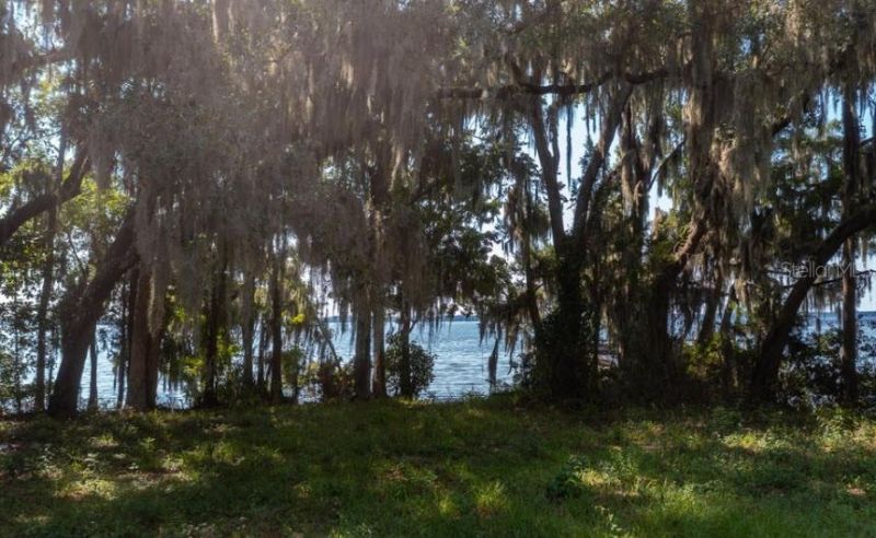 254 St Johns Drive, Palatka, FL 32177 Photo