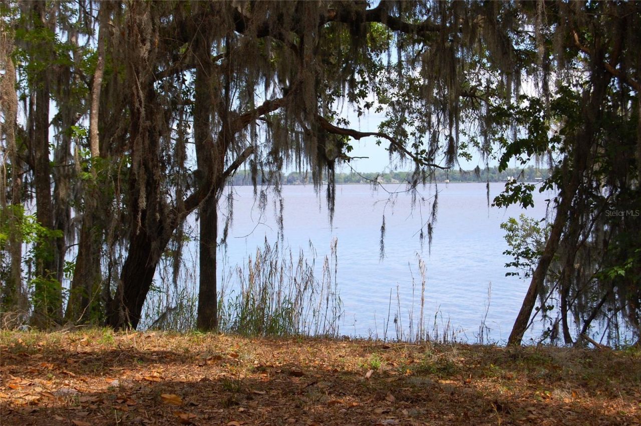 254 St Johns Drive, Palatka, FL 32177 Photo