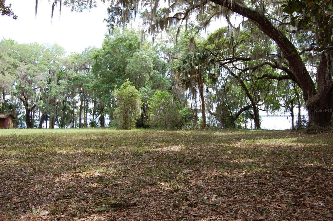 254 St Johns Drive, Palatka, FL 32177 Photo