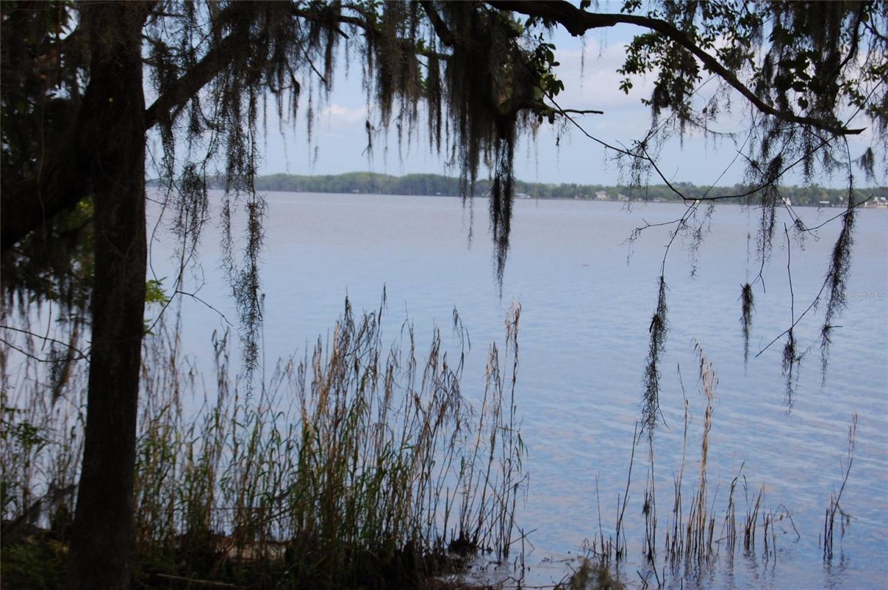 254 St Johns Drive, Palatka, FL 32177 Photo